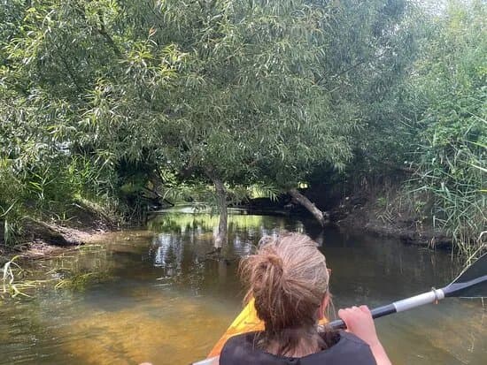 Kajaki Jeziorka