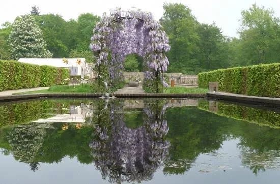 Tuin de Lage Oorsprong