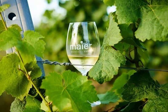 Maier - Bio Weingut Baden