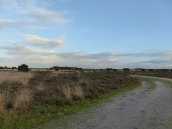 Strabrechtse Heide