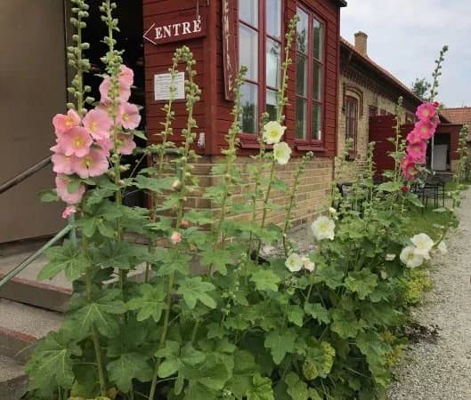 Statarmuseet