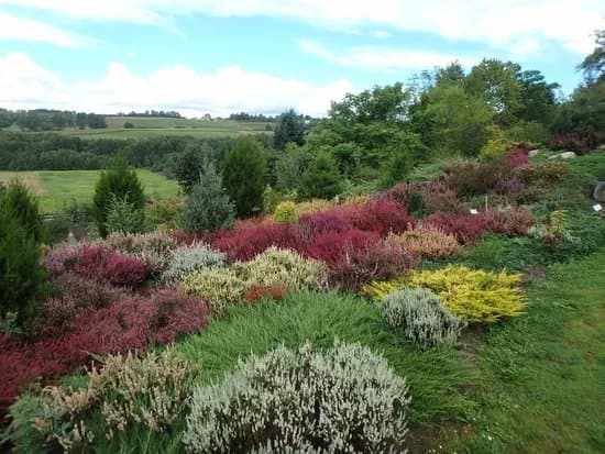 Parks & Nature