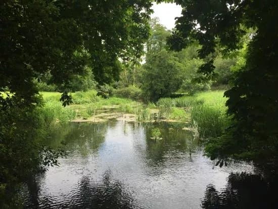 Doneraile Wildlife Park
