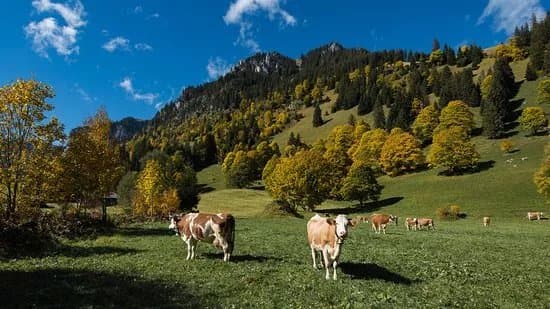 Diemtigtal Nature Park