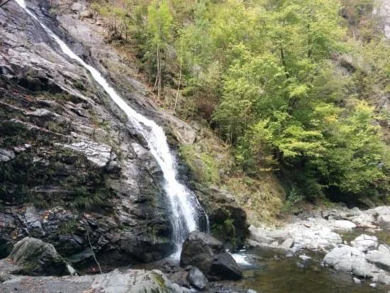 Cozia National Park