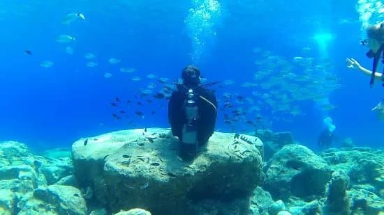 I Dive Cyprus