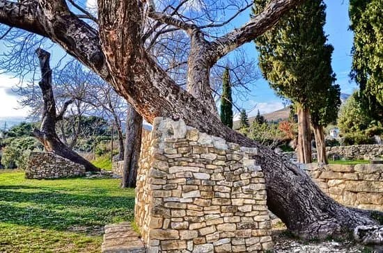 Biblical Garden Stomorija