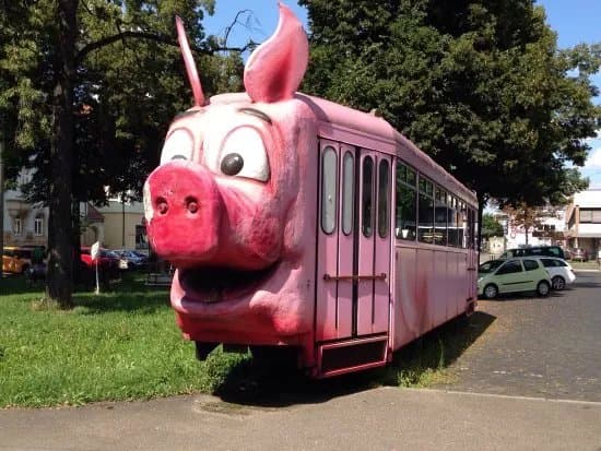 Schweine-Museum