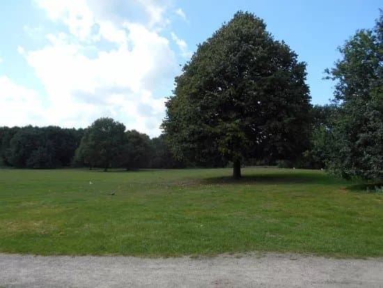 Schelfhorstpark