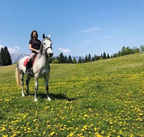 Kmetija Pr' Kolenc