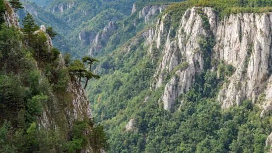 Lazar's Canyon