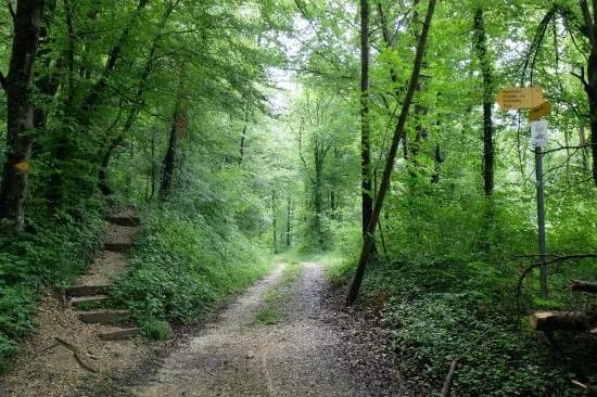 Romerweg
