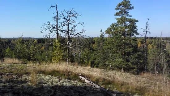 Hogbergetin Luola