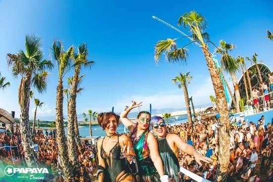 Papaya Club