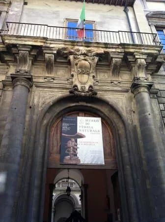 Museo di Storia Naturale - Antropologia e Etnologia