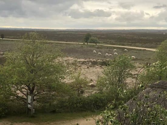 Kongenshus Mindeparks Naturcenter