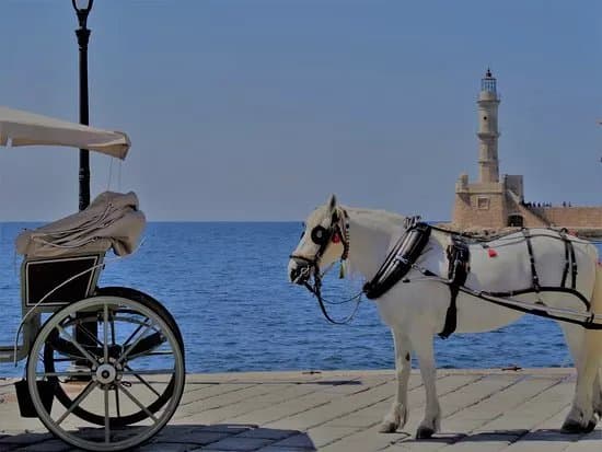 Alma de Creta