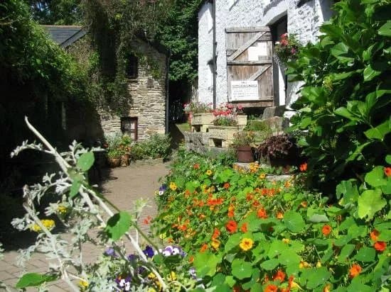 Hele Corn Mill & Tea Room