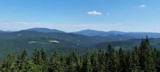 Rozhledna Sukenicka