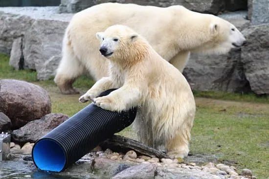 Tallinn Zoo