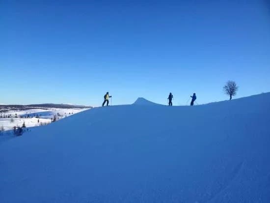 Vaset Skiheiser