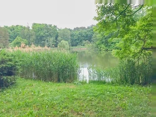 Staw Gorny