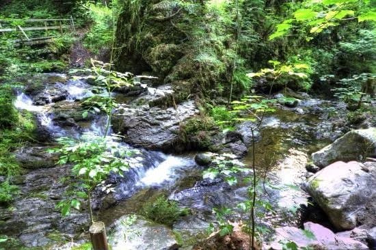 Todtmoos Waterfall