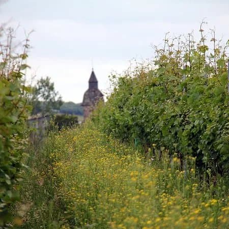 Coteaux de la Vezere