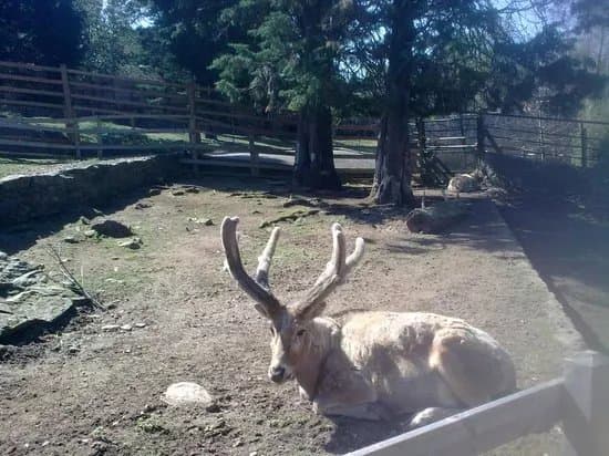 Zoologico de Vigo