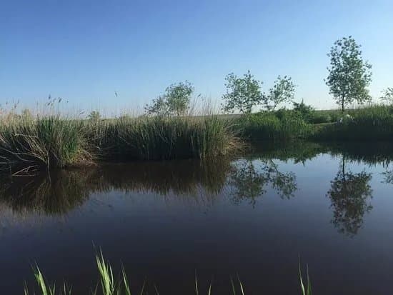 Sanpaul Fishinglake