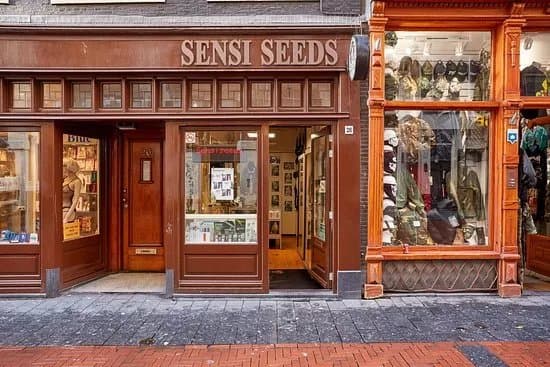 Sensi Seeds