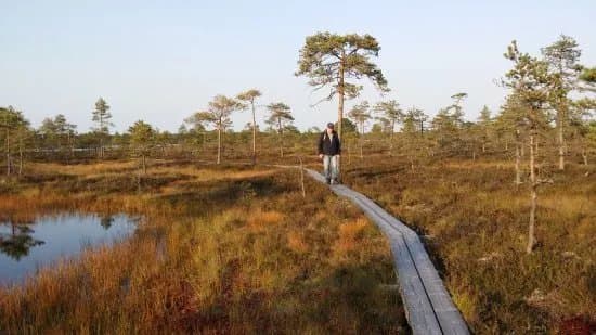 Kauhanevan-Pohjankankaan Kansallispuisto