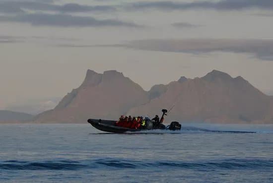 RIB-Lofoten