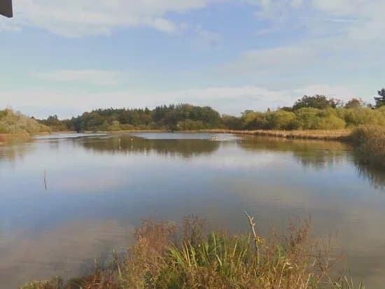 Warnham Local Nature Reserve