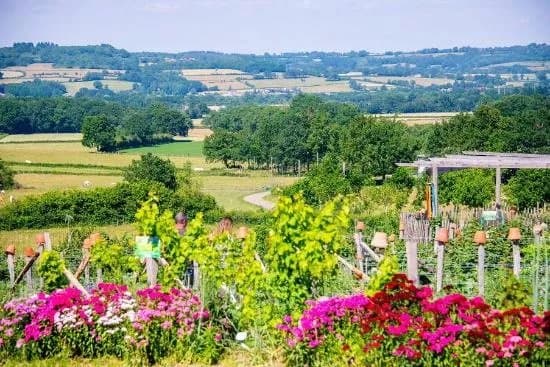 Alosnys, eco-centre en permaculture
