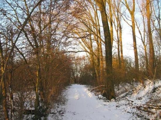 Bourgoyen-Ossemeersen Nature Reserve