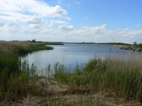 Hickling Broad