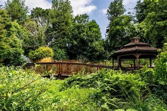 Fernhill Gardens