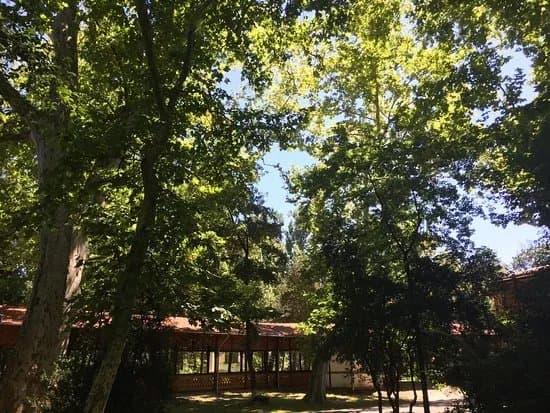 Buzias Dendrological Park