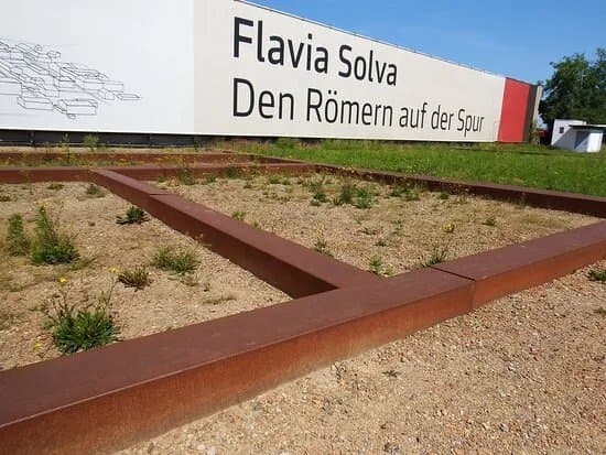 Flavia Solva