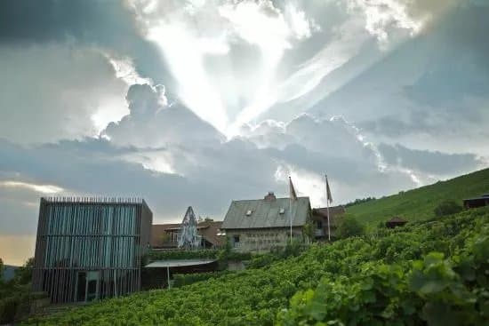 Weingut am Stein, Ludwig Knoll