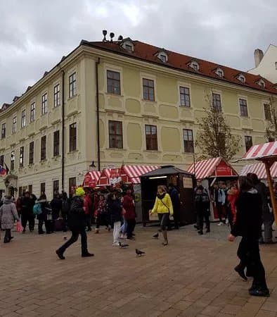 Miestodrzitelsky palac