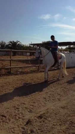 Ranch le Gardian