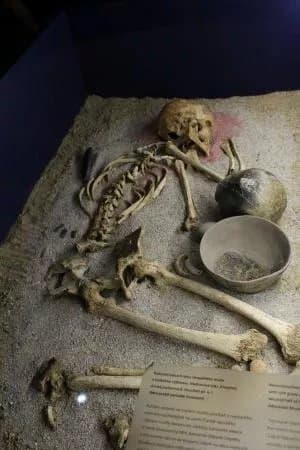 Narodni Zemedelske Muzeum Prague
