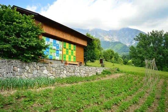 Kozjak