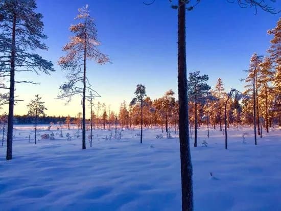 Trysil Hestesenter