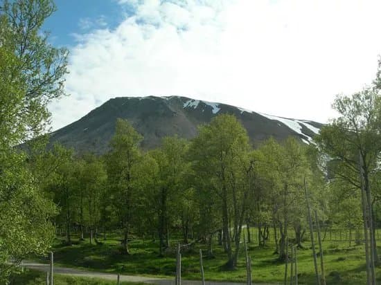 Sonfjallet National Park