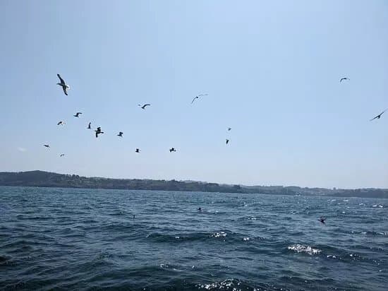 Marabaixo