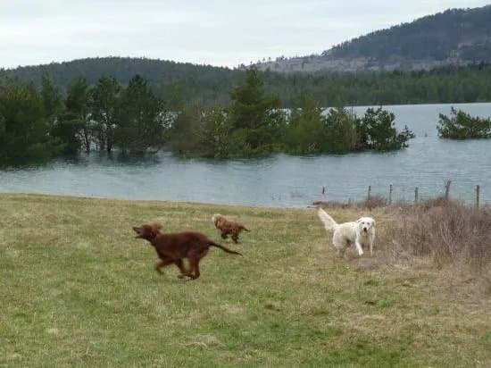 Lake Palcje