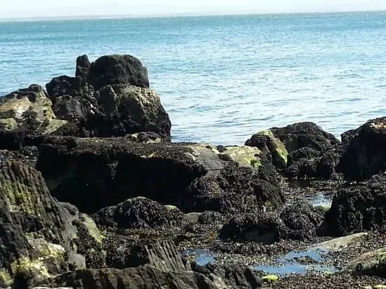 Moville Shore Path